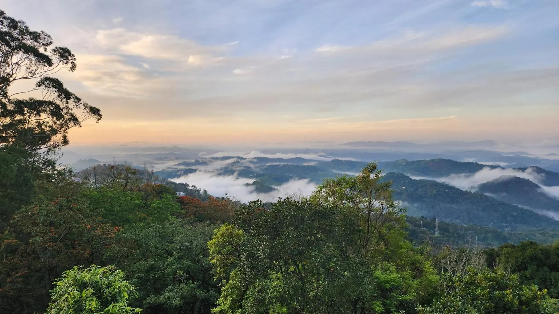 Kacholam Serviced Villa Munnar